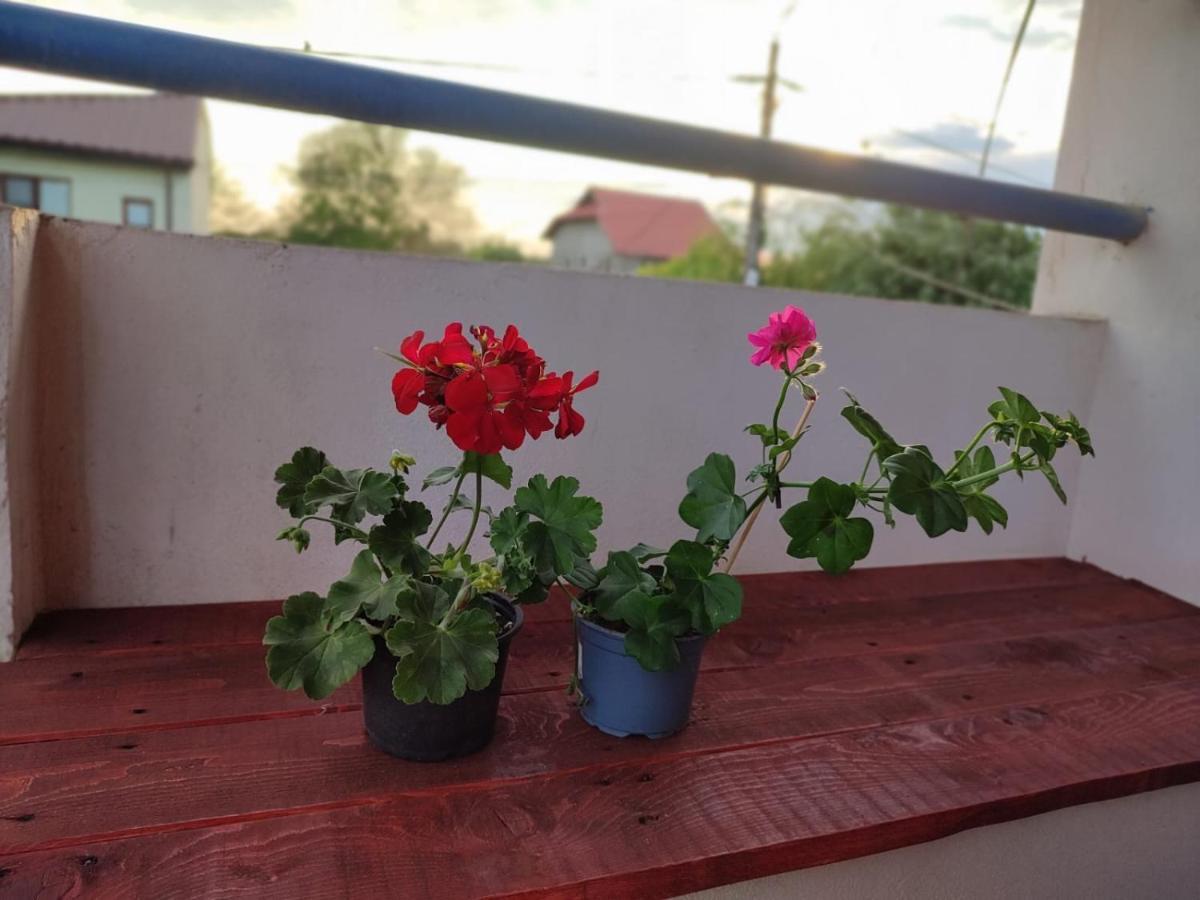 Casa Victor Apartment Западен Ефорие Екстериор снимка