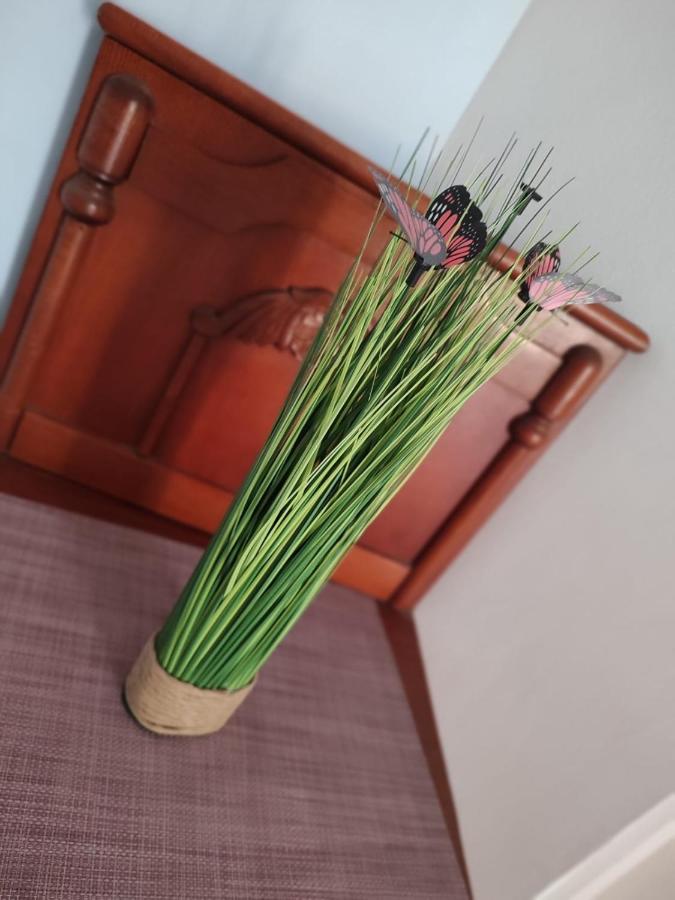 Casa Victor Apartment Западен Ефорие Екстериор снимка
